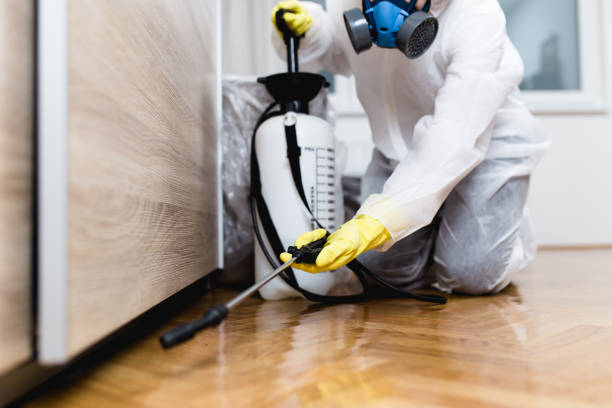 Best Pest Control Near Me in Idabel, OK