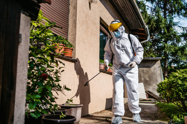 Best Pest Control for Homes  in Idabel, OK
