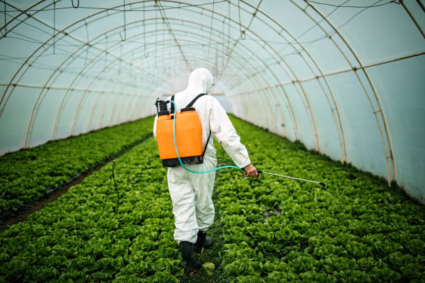Best Commercial Pest Control Services  in Idabel, OK