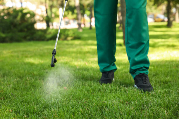 Best Pest Removal Services  in Idabel, OK
