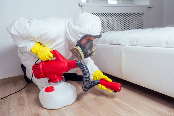 Best Mosquito Control Services  in Idabel, OK