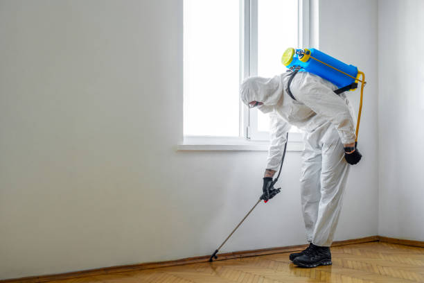 Best Pest Removal Services  in Idabel, OK