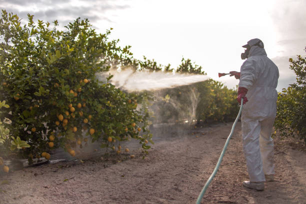 Best Affordable Pest Control Services  in Idabel, OK
