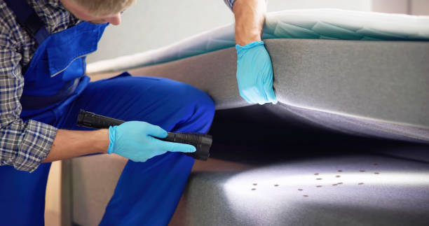 Best Pest Prevention Services  in Idabel, OK