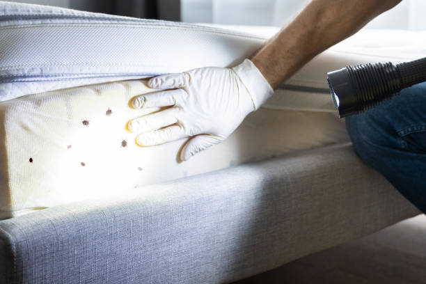Best Affordable Pest Control Services  in Idabel, OK