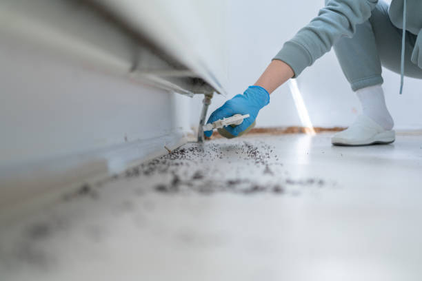 Best Local Pest Control Services  in Idabel, OK