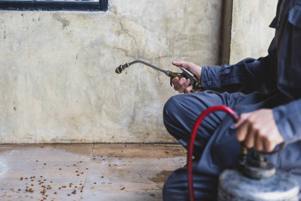 Professional Pest Control in Idabel, OK